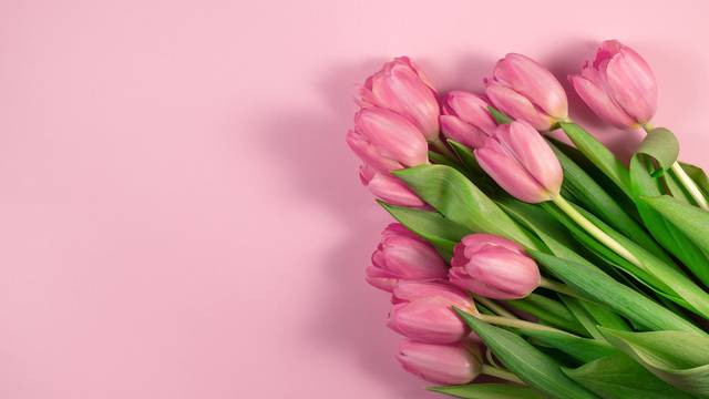 День дочери отмечается 25 апреля 2023 года