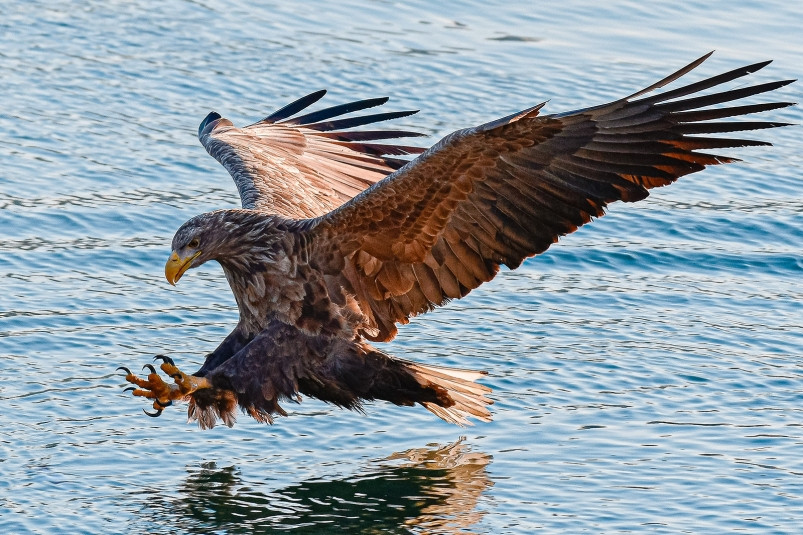 Погоду в Приморье 1 мая определяет тыловая часть циклона