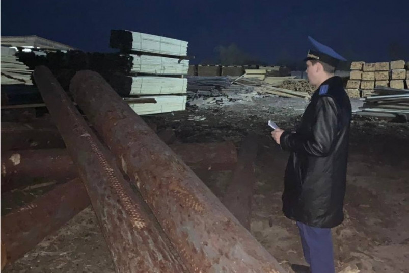 Ребенка в Приморье насмерть придавило упавшее бревно на деревообрабатывающем заводе