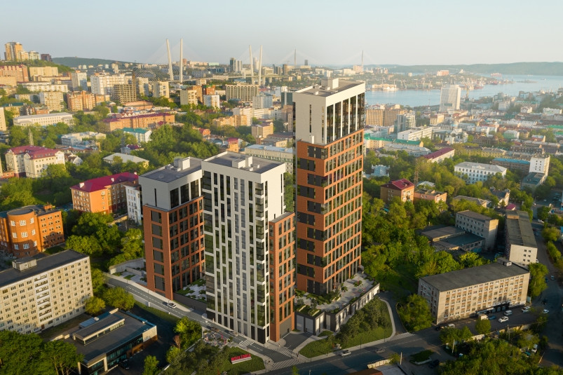 Novatoria: успеть вложиться на финишной прямой!