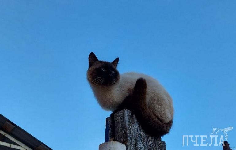 Часть Челябинской области накроют мощные дожди, но в четверг потеплеет до +19 градусов