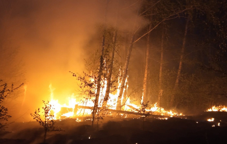 В Челябинской области за неделю ликвидировали 90 лесных пожаров