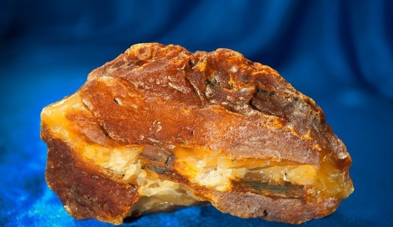 Коллекция янтаря Ростеха пополнилась двумя самородками с общим весом более 2 килограмм