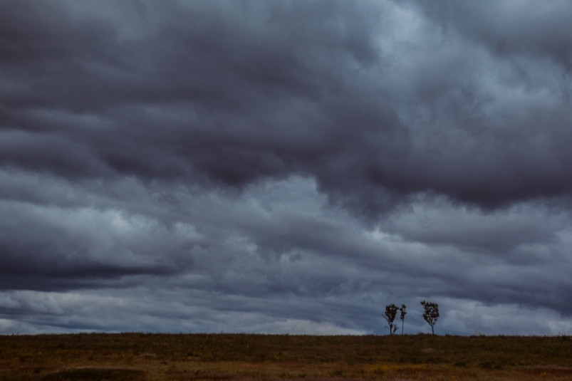 Дожди с грозами пройдут сегодня в Приморье