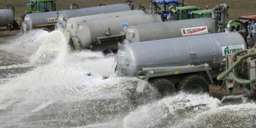 Великобританию накрыла новая проблема или почему фермеры вынуждены выливать сотни тонн молока на землю