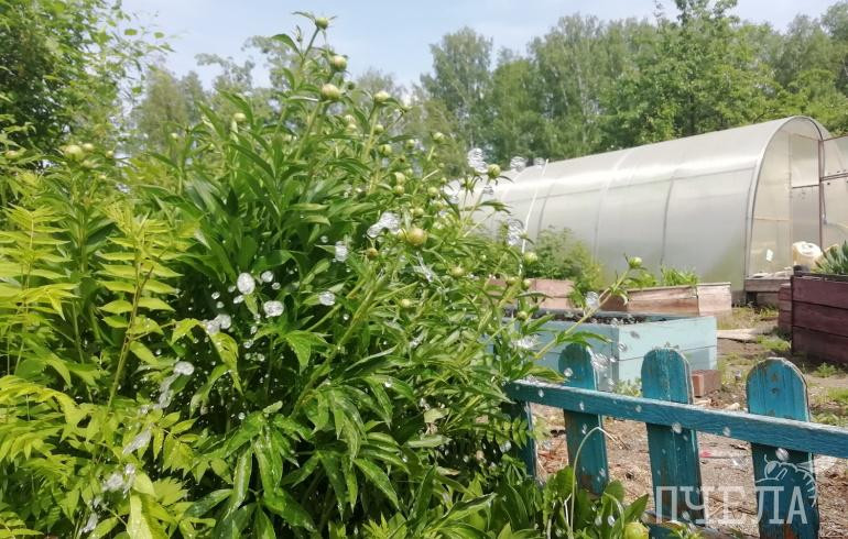 Какую главную ошибку совершают пожилые гипертоники на даче, рассказала врач