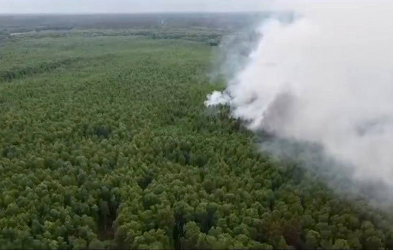 В Челябинской области вторые сутки бушует крупный природный пожар