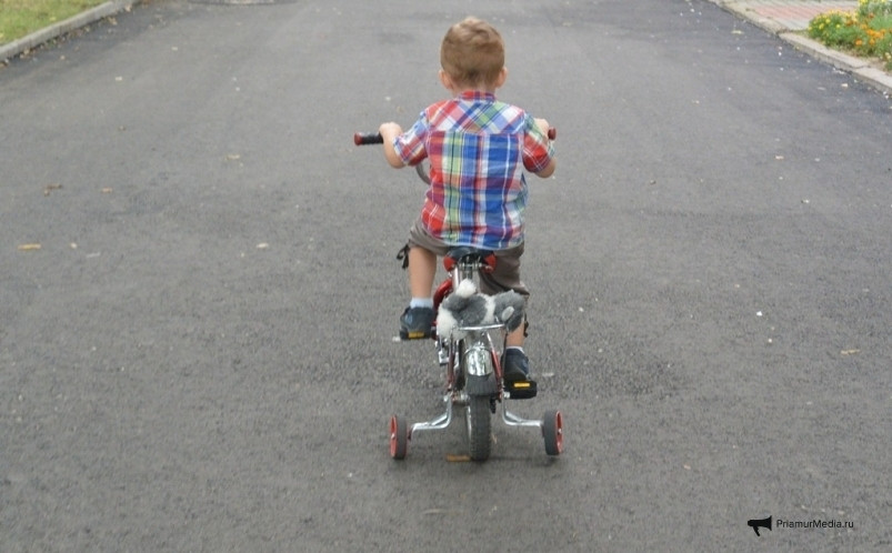 Более 100 многодетных семей в Приморье уже получили миллион за третьего ребёнка