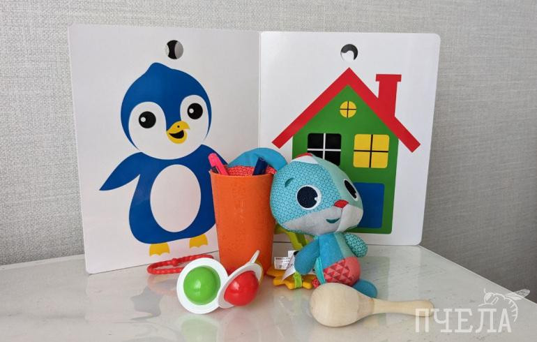 В Челябинской области открыли приёмную для поддержки семей с инвалидами