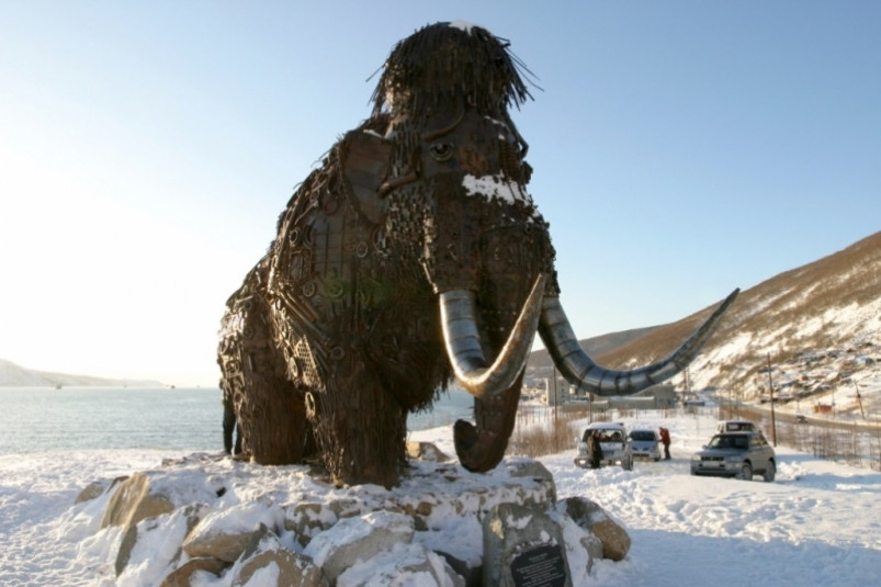 Два дальневосточника незаконно вывезли в Китай и Нидерланды 16 тонн бивней мамонта