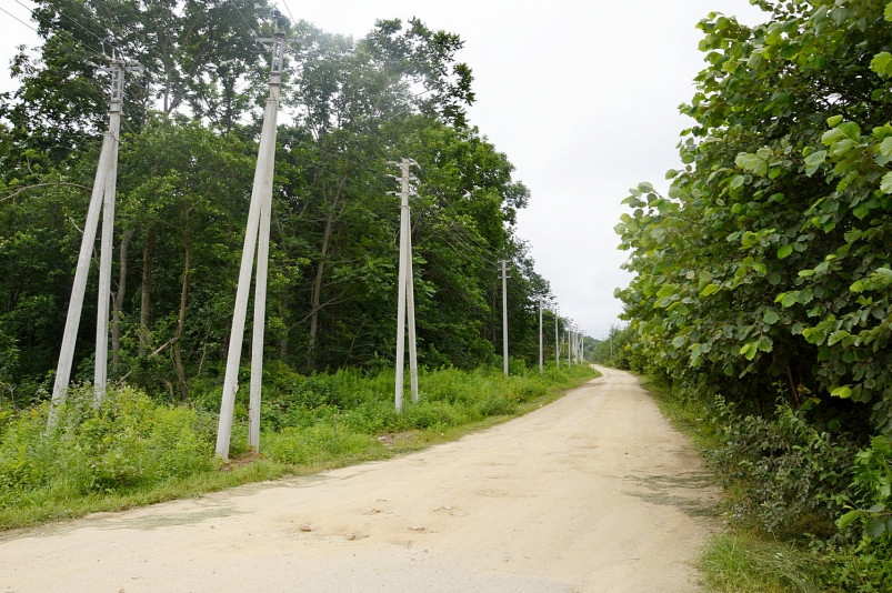 Энергетики ДРСК ведут реконструкцию распределительных сетей юга Приморья