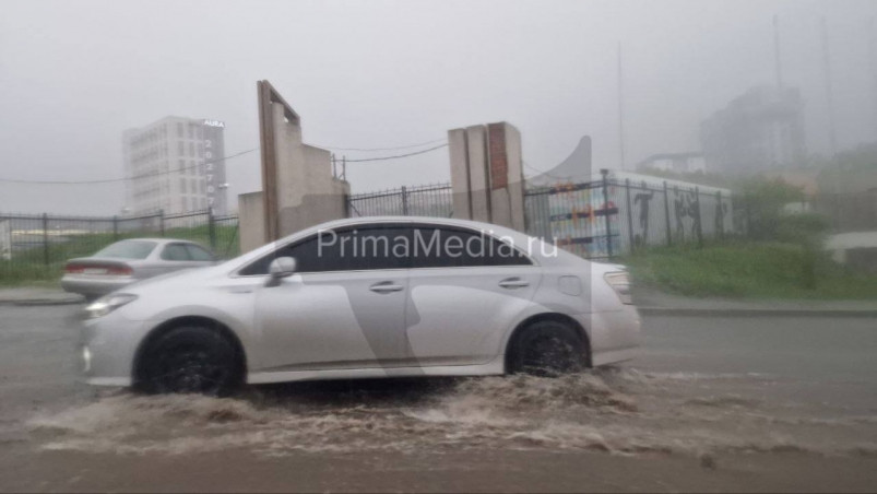 Не паркуйте свои автомобили вблизи деревьев и подпорных стен – мэрия Владивостока