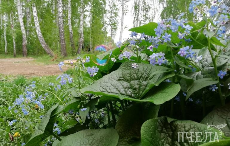 В часть Челябинской области на день вернётся 30-градусная жара
