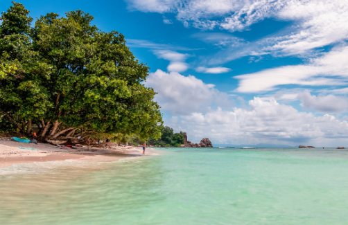 Россиянам предлагают слетать к морю за 21 тыс. рублей на двоих