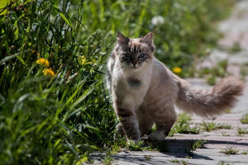 Синоптики рассказали о погоде на следующей неделе в Приморье