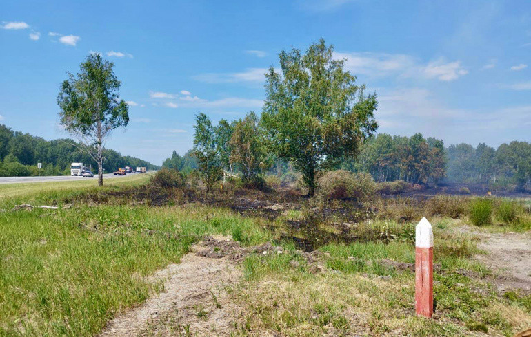 В Челябинской области поджигатели устроили 15 пожаров вдоль дороги