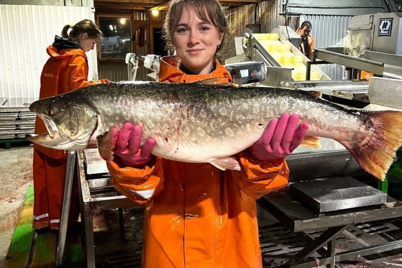 Покоряя острова: все о студентах путинщиках из Приморья и их работе на заводах на краю света