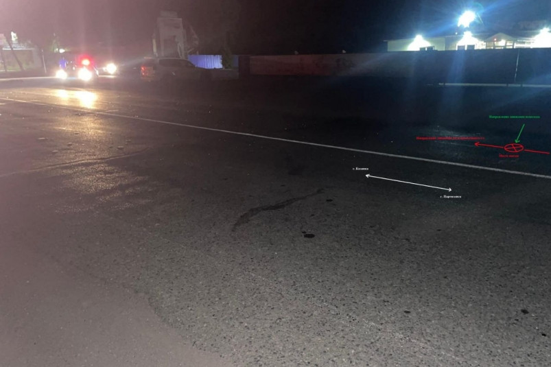 Полиция разыскивает виновника смертельного ДТП в Партизанске