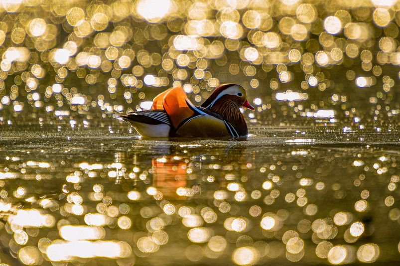 Жителей Владивостока приглашают на обсуждение благоустройства территории Фанзавода