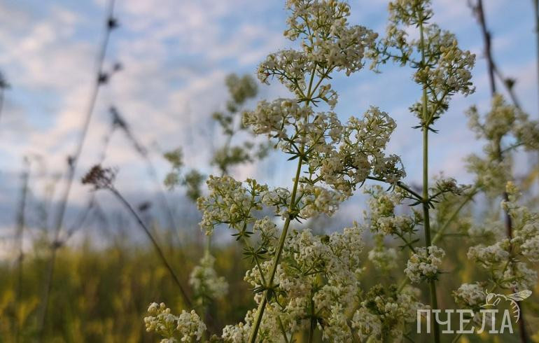 На Челябинскую область надвигается потепление до +21 градуса