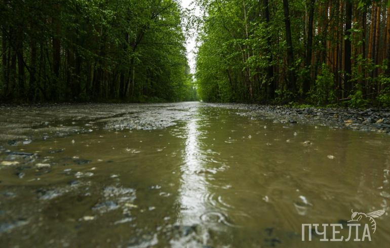 В воскресенье Челябинскую область накроют грозы, похолодает до +21 градуса