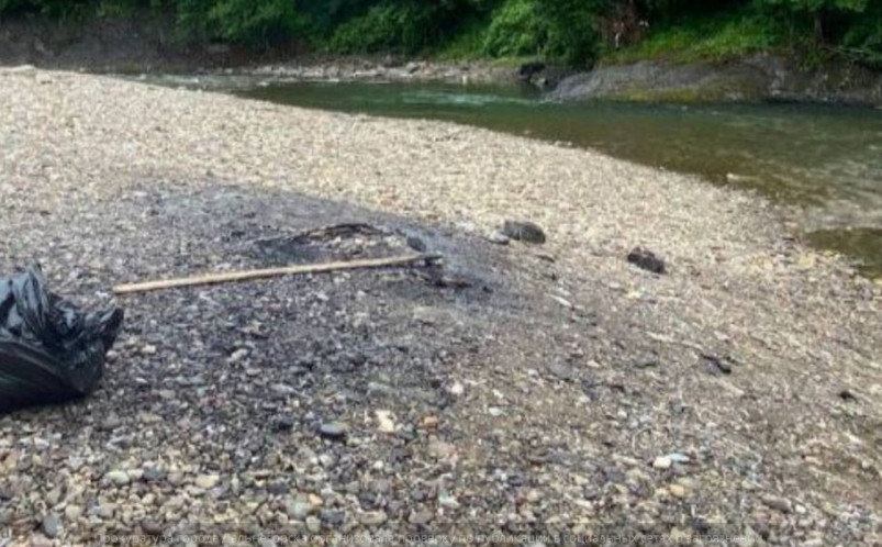 Загрязнение реки Рудной в Приморье устранили после вмешательства прокуратуры
