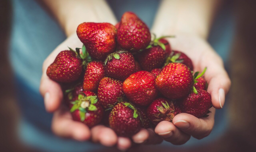 Эксперт поделился секретами, как выбрать спелую и вкусную клубнику
