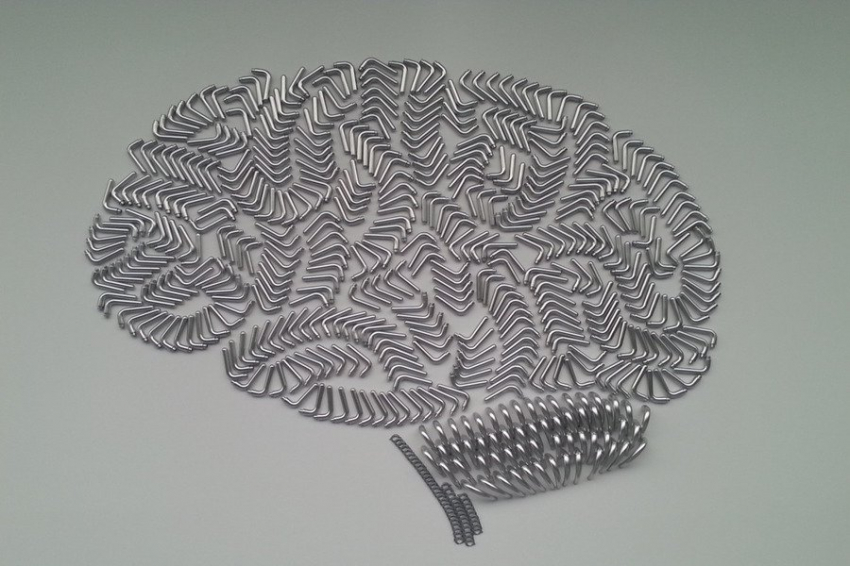 Выяснено, почему люди с более высоким уровнем интеллекта соображают медленнее