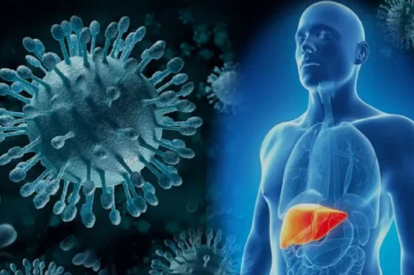 «63.RU»: чиновники Минздрава России разработали план по борьбе с гепатитом С в Самарской области