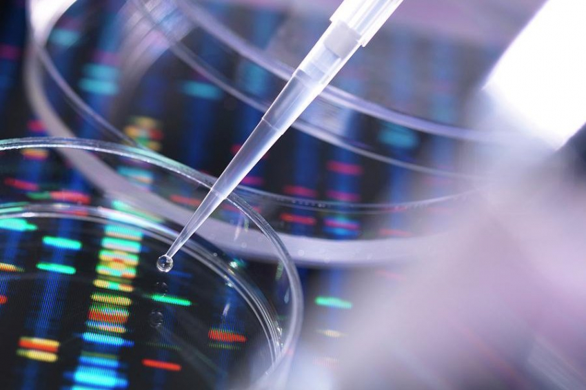 Ученые назвали распространенную ошибку при лечении рака