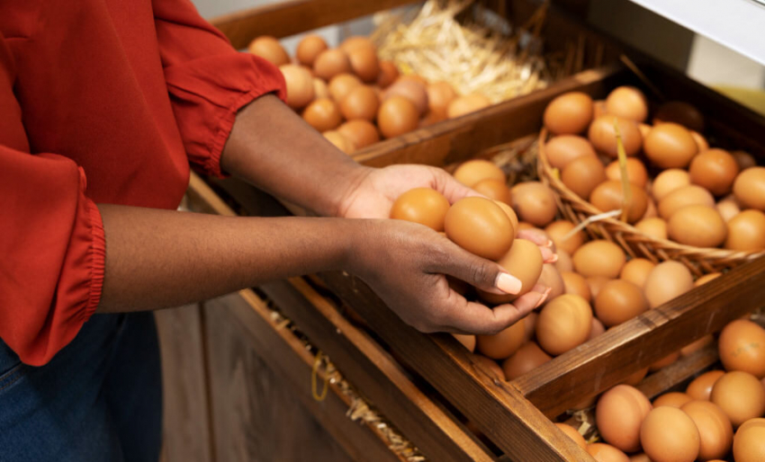 Что будет если есть яйца каждый день: ученые ответили