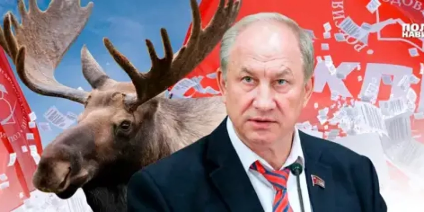 «Жизнь лося имеет значение» – Рашкина лишили депутатской неприкосновенности