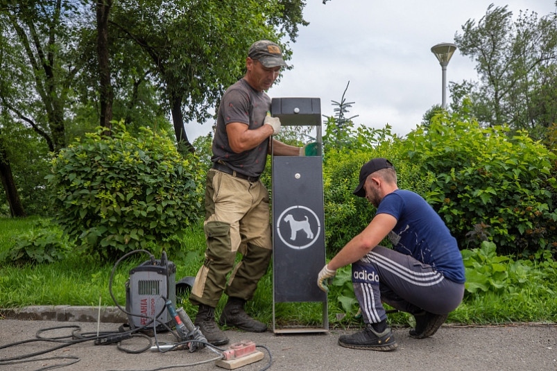 География распространения дог-боксов во Владивостоке расширяется