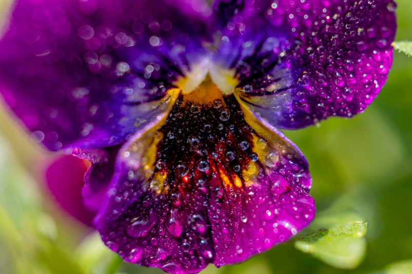 Июнь в Приморье выдался экстремально влажным и теплым — синоптики