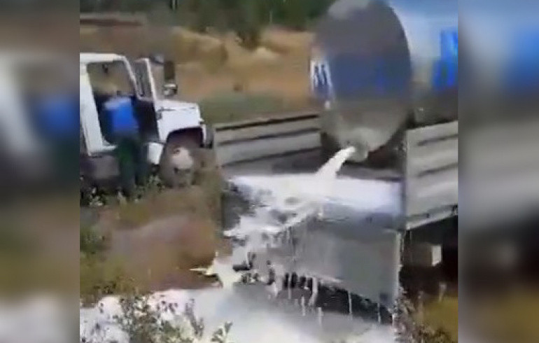 Южноуральцы пожаловались на скупщиков, которые выливают молоко на землю цистернами