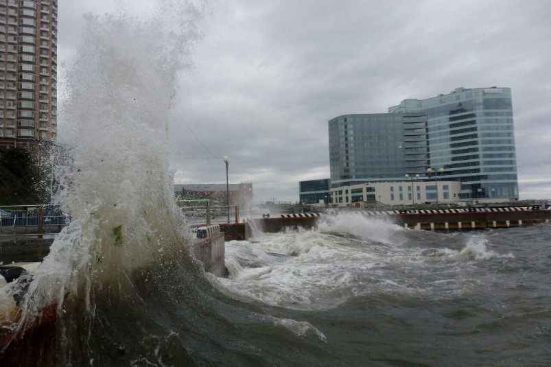 После гроз снова ливни, а потом тайфун — синоптики опубликовали прогноз на июль в Приморье