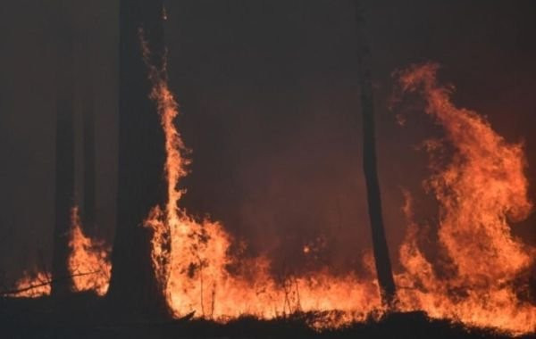 Масштабные лесные пожары в Свердловской области: огонь перекинулся на село Шайдуриха