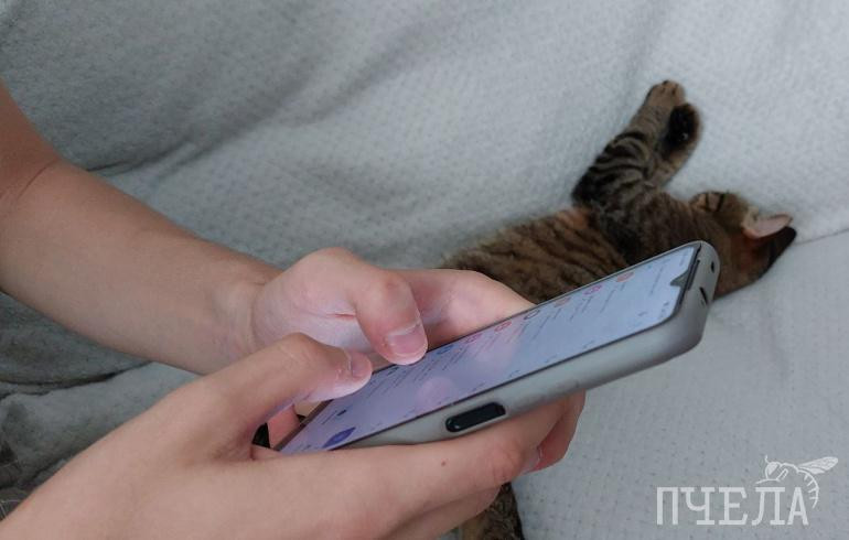 Директор магазина в Челябинске попалась в сети мошенников и потеряла 1,8 млн