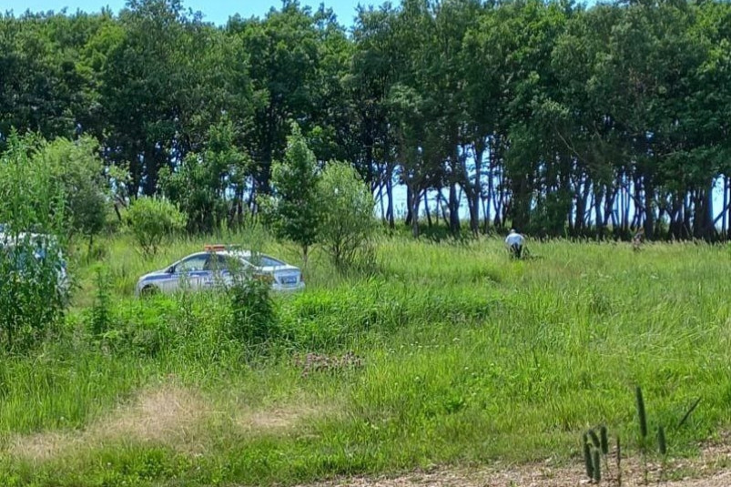В Приморье поймали и доставили в полицию пятерых сбежавших из спецшколы подростков
