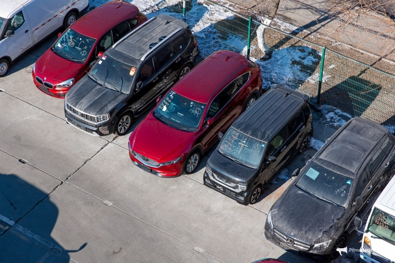 Убийственный прогноз: стоимость литра Аи-95 до конца года может подойти к 55 рублям