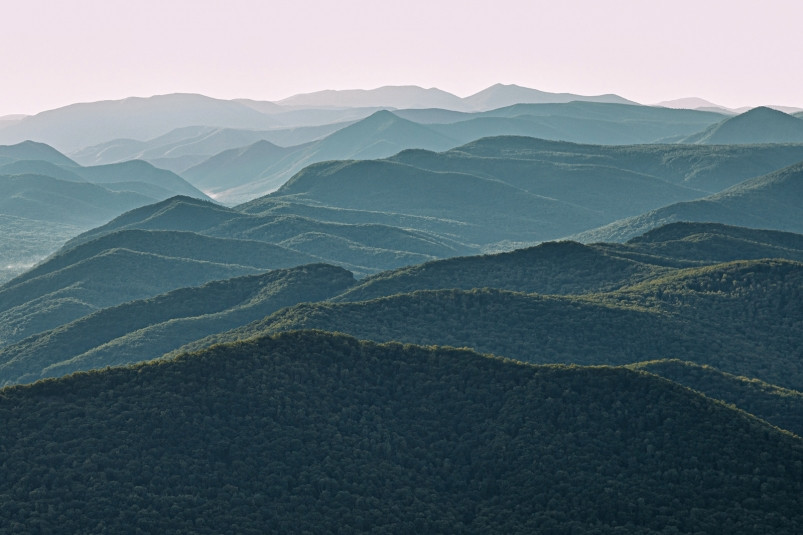 Что пробуждает интерес к истории Приморья: читателей приглашают принять участие в опросе
