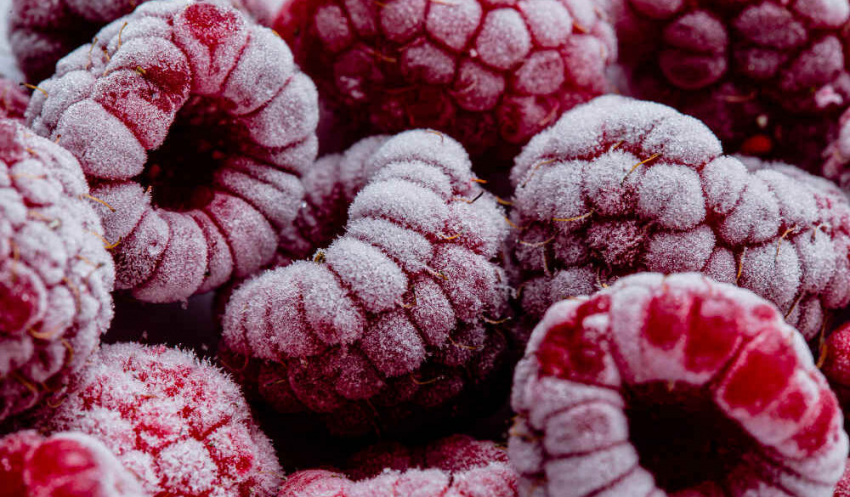 Как заморозить ягоды на зиму - назван главный нюанс