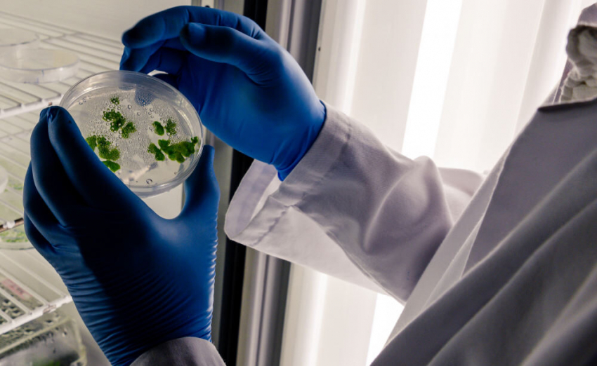 По Европе распространяется опасная лихорадка: названы симптомы