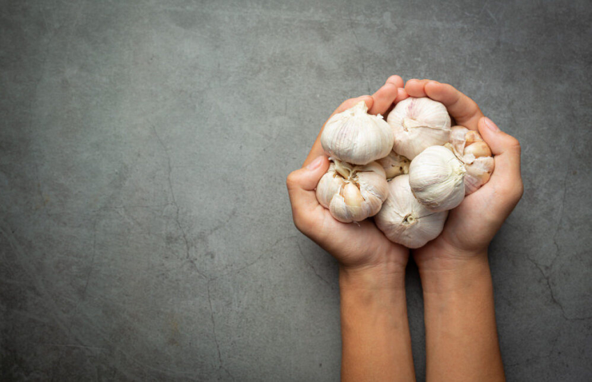 Врач назвала овощ, который употребляют все долгожители