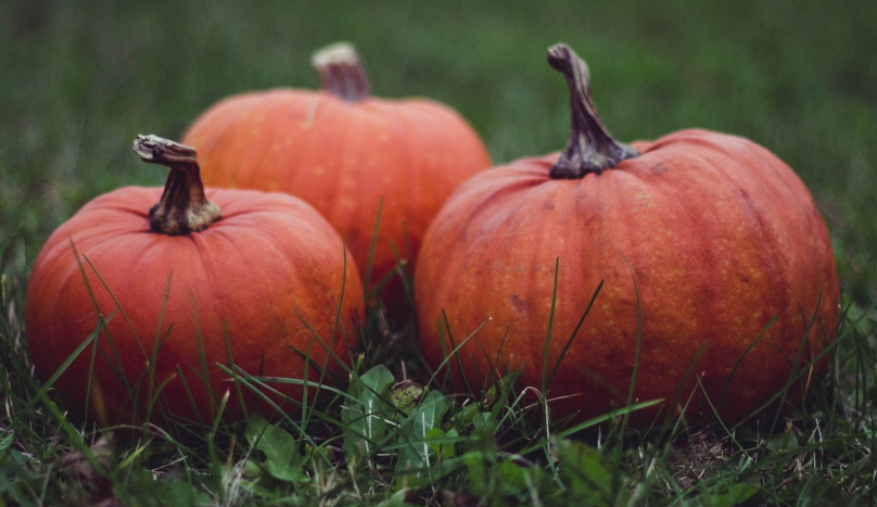 В школе Ижевска "импортозаместили" Хеллоуин на Тыквенный Спас