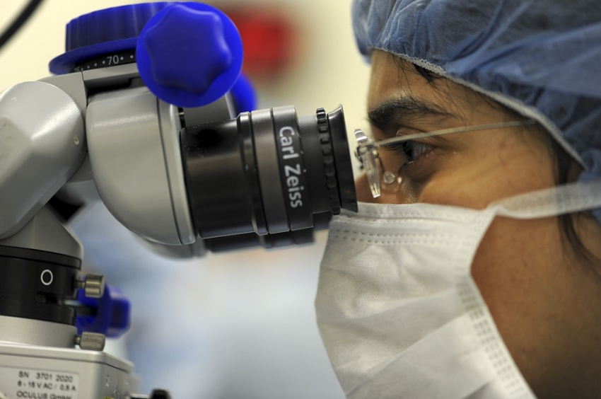 eGastroenterology: Ключевым фактором восстановления поврежденной печени оказались иммунные клетки