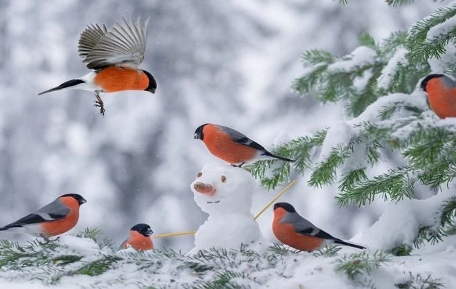 Праздники, которые отмечают 16 декабря 2024 года в России и мире