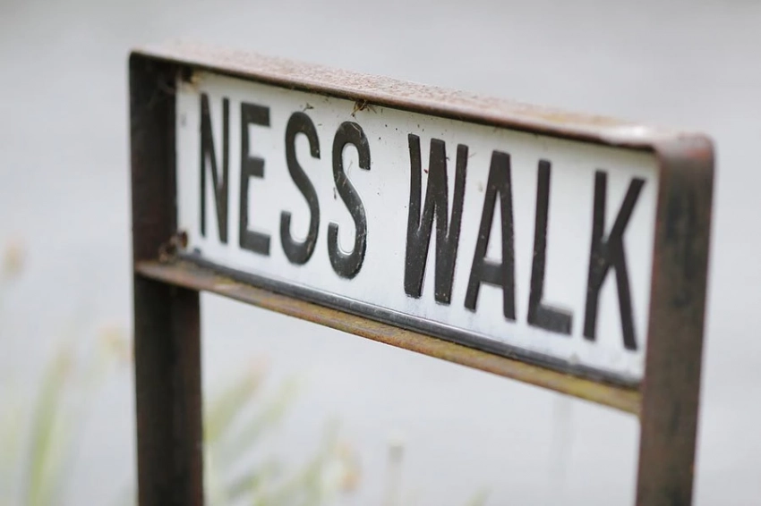 Натуралист предложил еще одно объяснение тайны Лох-Несского чудовища