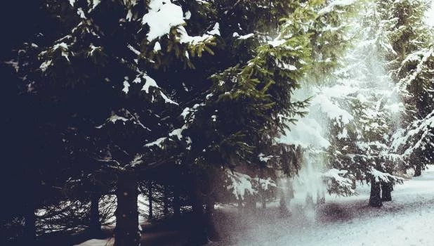 Церковный праздник «Фёдор Поминальник» отмечают в России 8 февраля в 2025 году