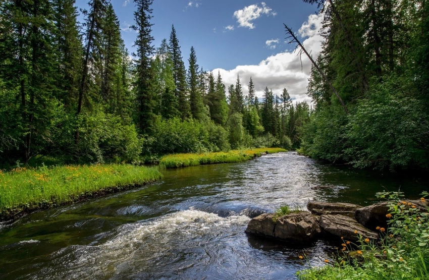 Приметы и поверья на 24 апреля 2025 года расскажут об урожае и погоде
